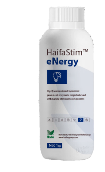HaifaStim® eNergy - Aminosäuren